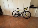Cinelli pressure adr