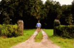 IMG_0117.gif