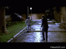 bg100q.gif