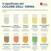 colore-delle-urine-infografiche-1-1-1024x1024_a183e9532bca8f07711fe1c01e9a8ac9.jpg