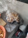 IMG_20250420_140647.jpg