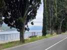IMG_3580.jpeg