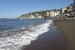 IMG_8101.jpg