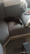 IMG_20230531_200724.jpg