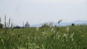 IMG_3206.JPG