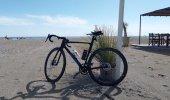 marebici.jpg