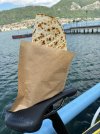 IMG_1681.jpeg