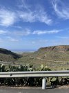 IMG_5321.jpeg