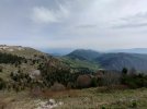 IMG20250503093720.jpg