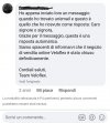 Screenshot_20250504-184022_Chrome.jpg