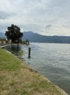 IMG_1891.jpeg