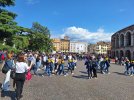 20250510_103639.jpg