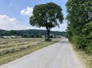 IMG_3864.jpeg