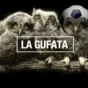 gufata-260x260.jpg