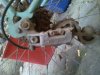 2011-10-06 18.21.52.jpg