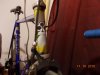colnago 3.jpg