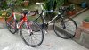 928-Izalco_2.jpg