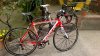 928-Izalco_3.jpg