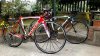 928-Izalco_1.jpg