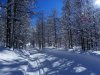 01-27 (28).jpg