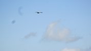 IMG_3249.JPG