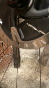 IMG_8169.jpeg