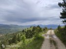 IMG20250520105657.jpg