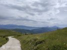 IMG20250520105724.jpg