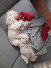 20250223_073841.jpg