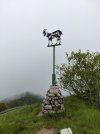 IMG20250524083411.jpg