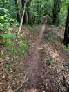 20250525_174600.jpg