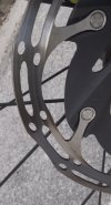 IMG_7438.jpeg