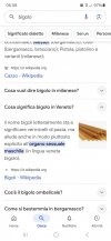 Screenshot_20250531_065805_Google.jpg