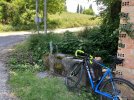 IMG_3940.jpeg IMG_3940.jpeg