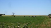 IMG_3268.JPG