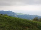 IMG_20250602_111516.jpg