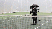 tumblr_oruwif4DQa1rp0vkjo1_500.gif