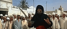 IMG_0746.gif IMG_0746.gif