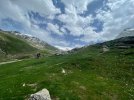 img 2025-06-14_6.jpeg