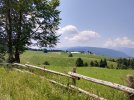IMG_20250622_122308.jpg