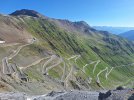 20250624_090341.jpg