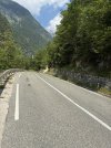 IMG_2239.jpeg