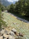 IMG_2244.jpeg