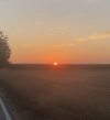 IMG_1355.jpeg