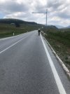 IMG_3938.jpeg