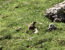 IMG_4863.jpeg
