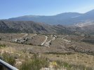 IMG_8009.jpeg