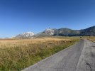 IMG_7953.jpeg