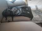 IMG_20250704_125316.jpg