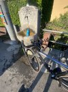 IMG_3966.jpeg